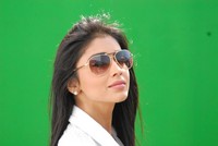 Shriya Beautiful Photos